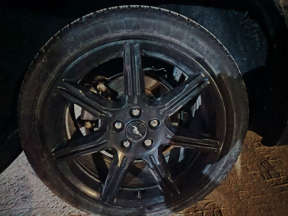 Титанка мустанктан шкан