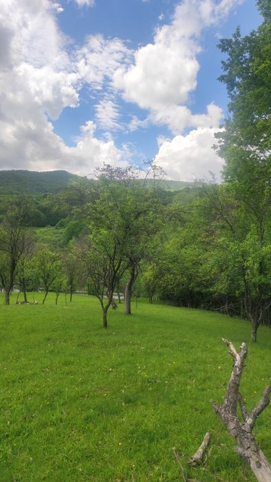 2 Terenuri intravilane pentru cabana,pensiune  sau casa de vacanta