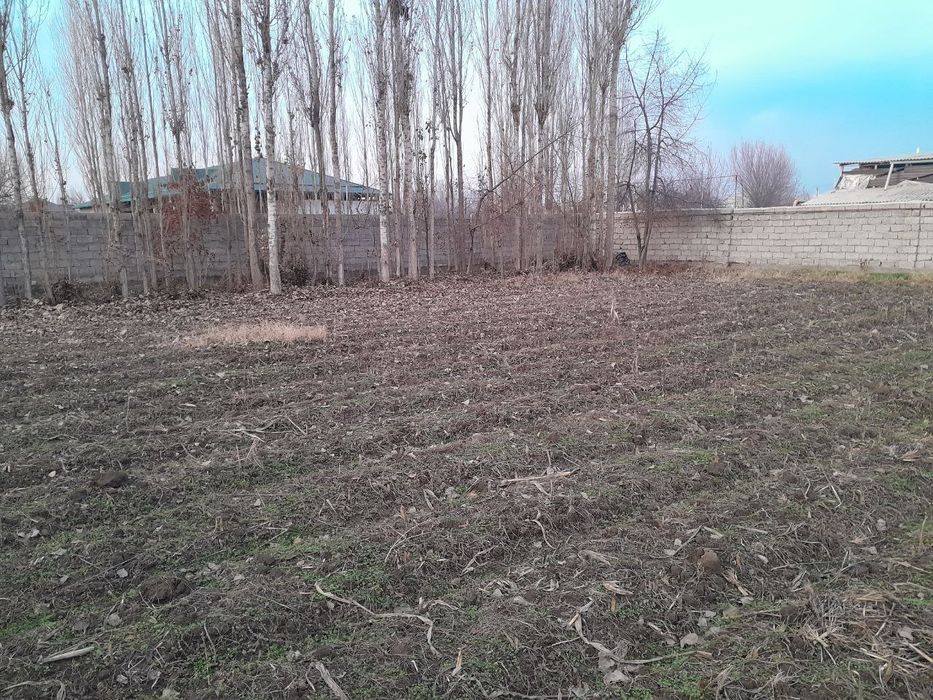 Yer uchastkasi sotiladi