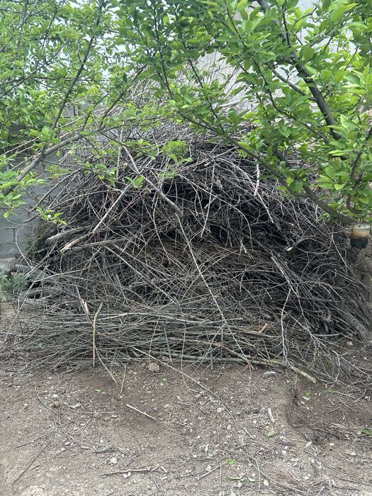 Ағаш отын көмір ағаш