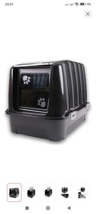 Кошка кошки котики