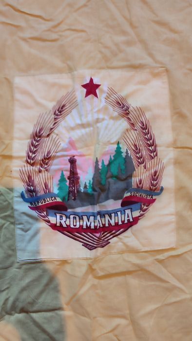 Drapel cu stema vechi