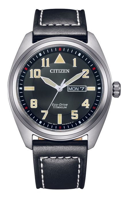 Citezen Eco-Drive пилот