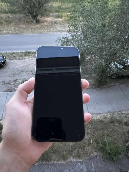 Пррдам IPhone 12 Pro Max