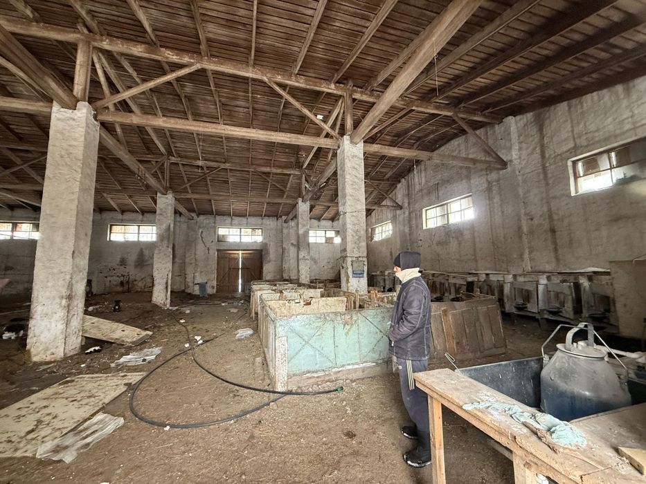 Продам крестьянское хозяйство