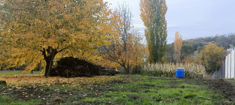 Intravilan pădure priveliște superbă langa Craiova