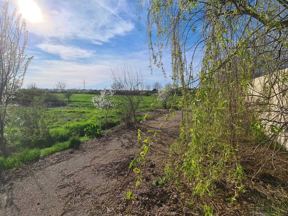 Teren intravilan - loc de casa Mihailesti