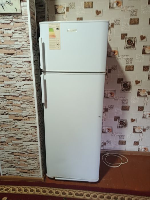 Bryusa zor ideal