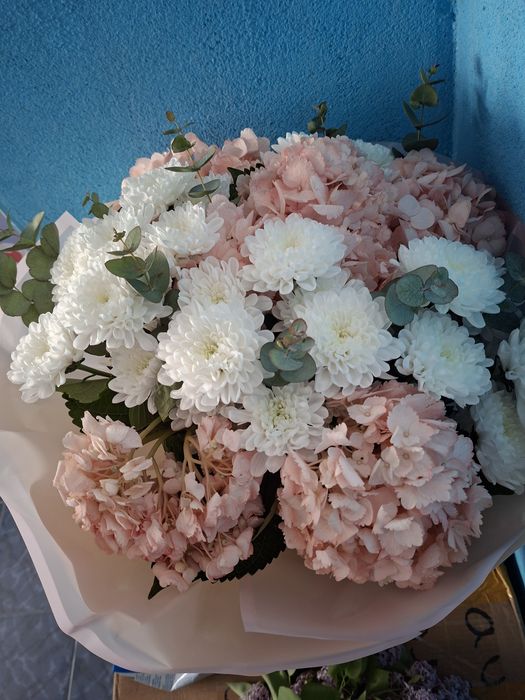 Гул свежий адеми