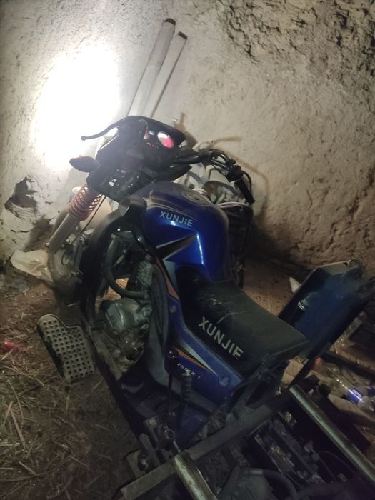 Shu muraveyni sotib olgan odam tel qilingla