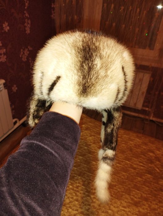 Продам норковые шапки