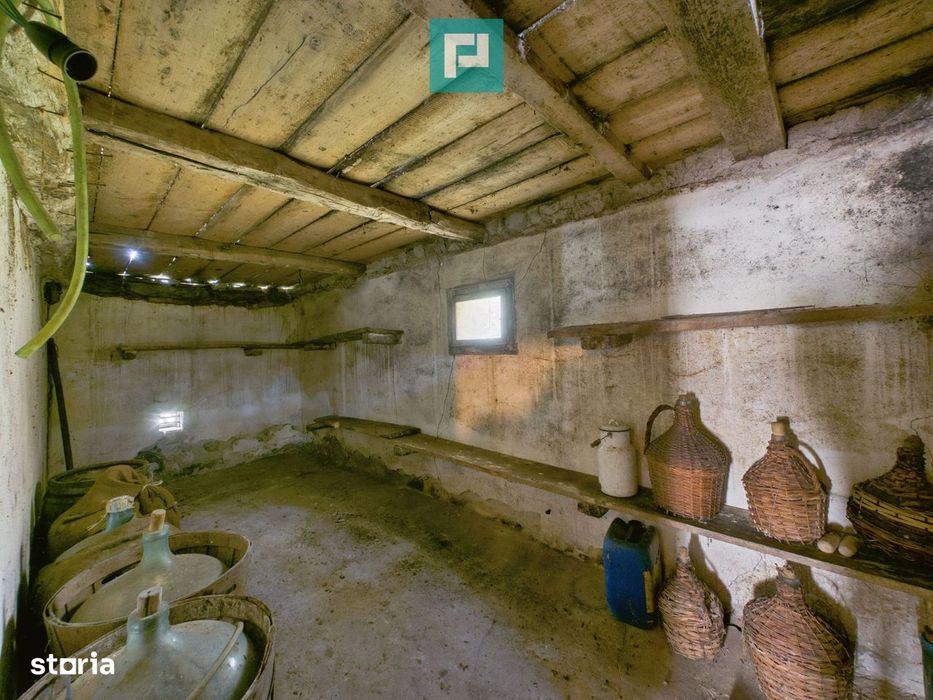 Proprietate rară cu 24.270 mp, în Măgulicea, Arad!