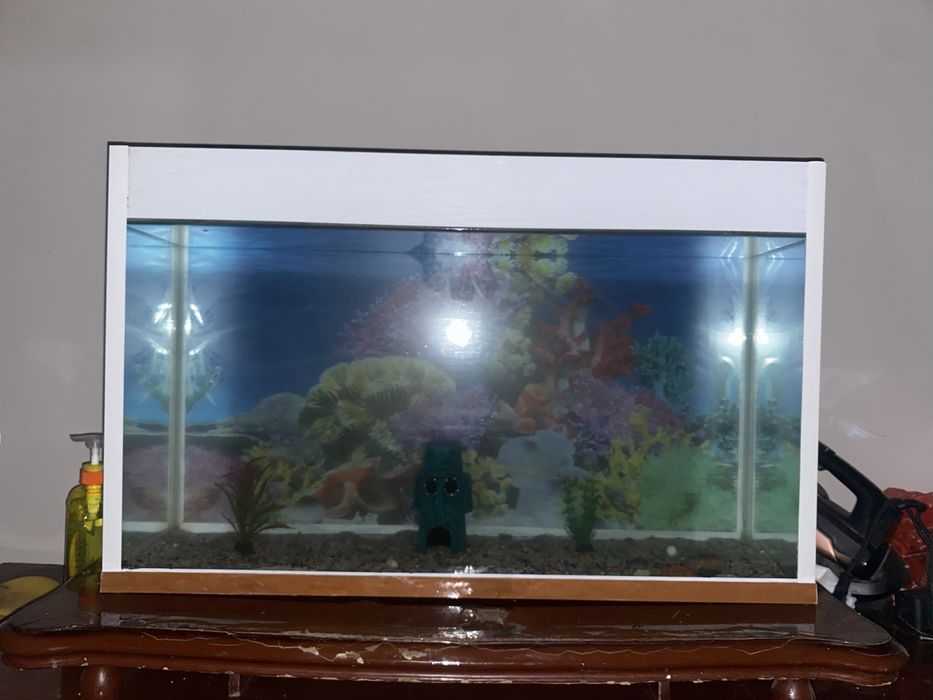 Аквариум с рыбками срочноо