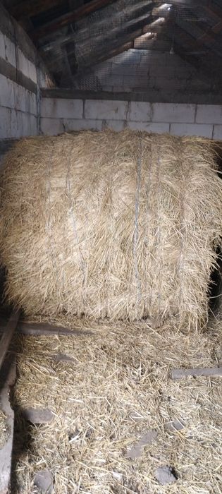 Vând Baloți de lucernă