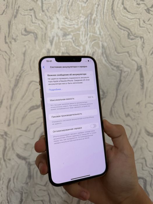Iphone 12 Pro Max 128Gb