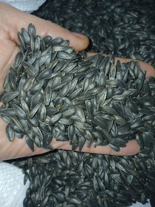 Samanta Floare Lidea Vrac