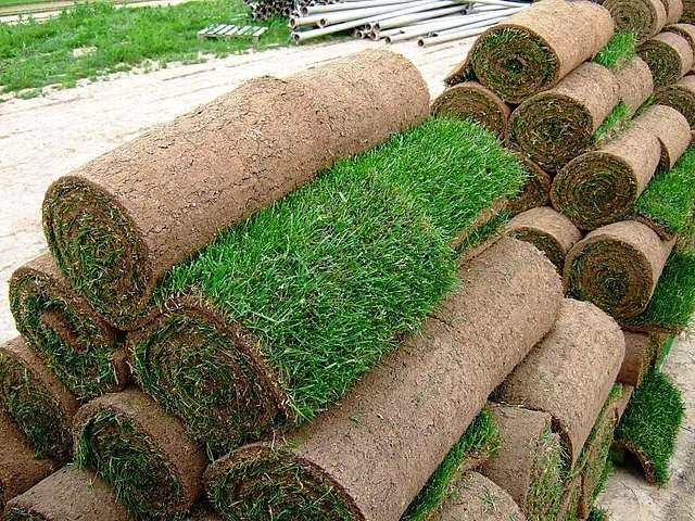 Газон услуги садовник. Богбон.