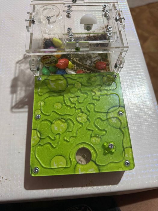 Муравьиная ферма