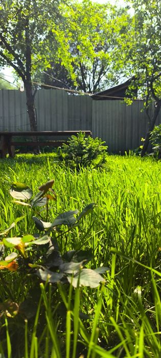 Продам дом в медеусском районе.