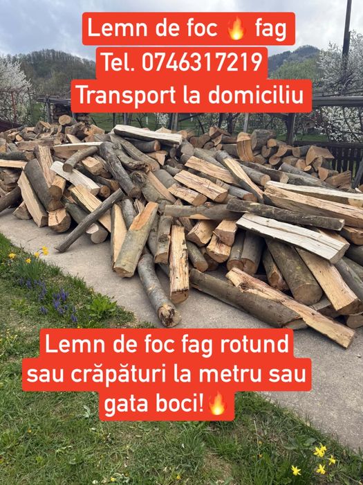 Lemn de foc fag crapaturi sau rotunde