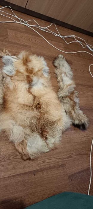 Лиса мех натуральный