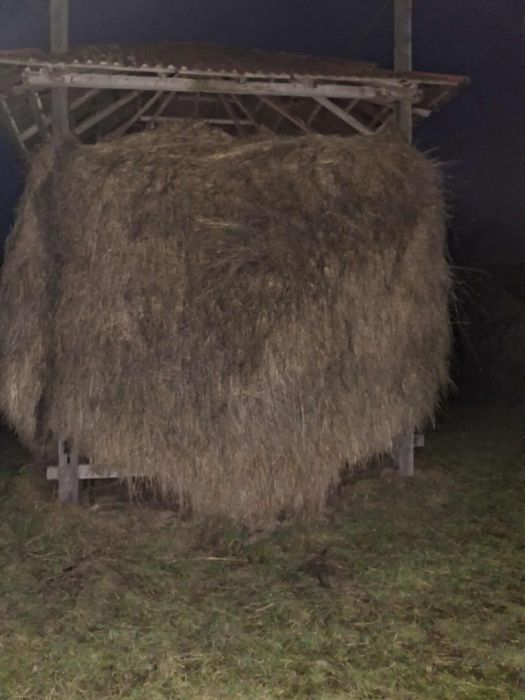 Vând fan mai multe detalii la telefon