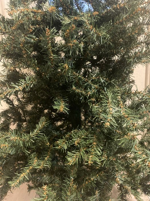 Продам елку 1.50