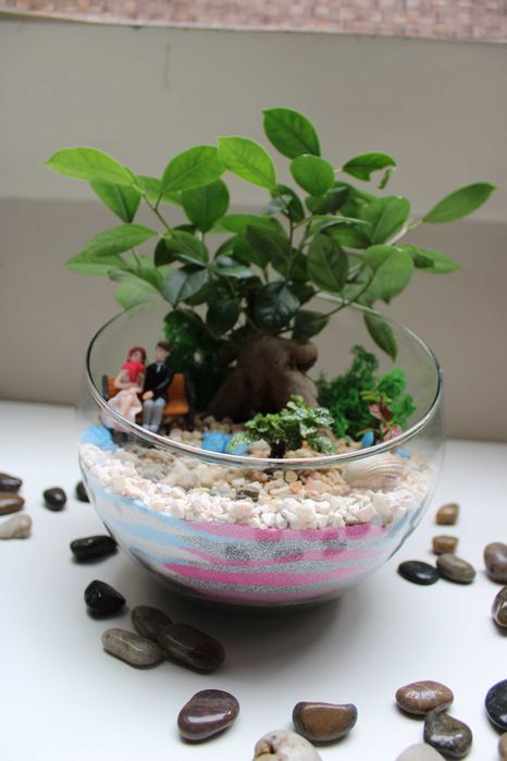 Флорариум с бонсай - подарък за рожден ден и др поводи