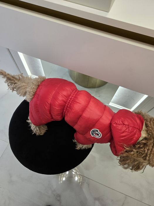 Зимен гащеризон Moncler