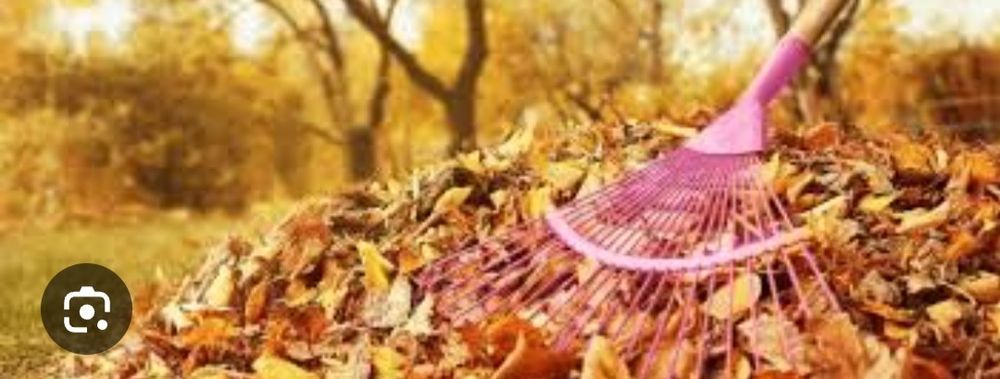 Садовник чистим сад огород обрезка деревьев и т д