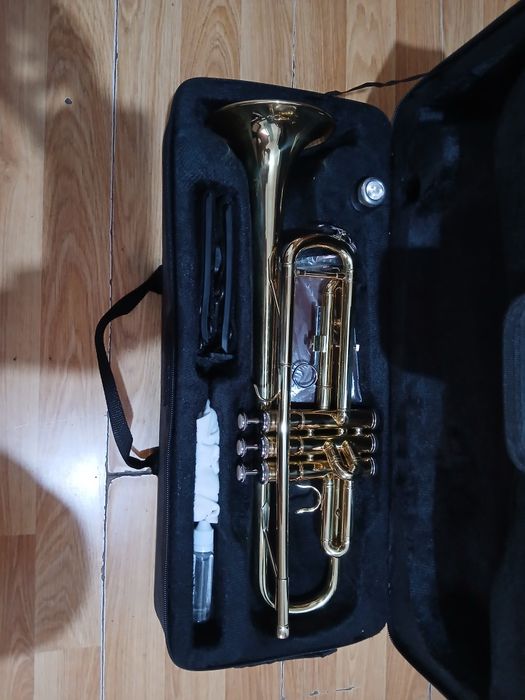 Vînd tropetă nouă am cupărato ce va timp în urmă schimb pe clarinet