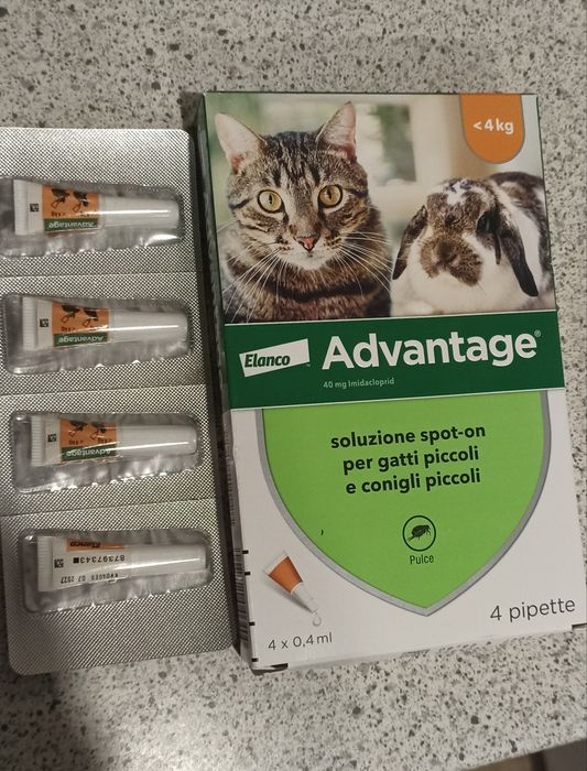 Advantage antiparazitar pisici și iepuri