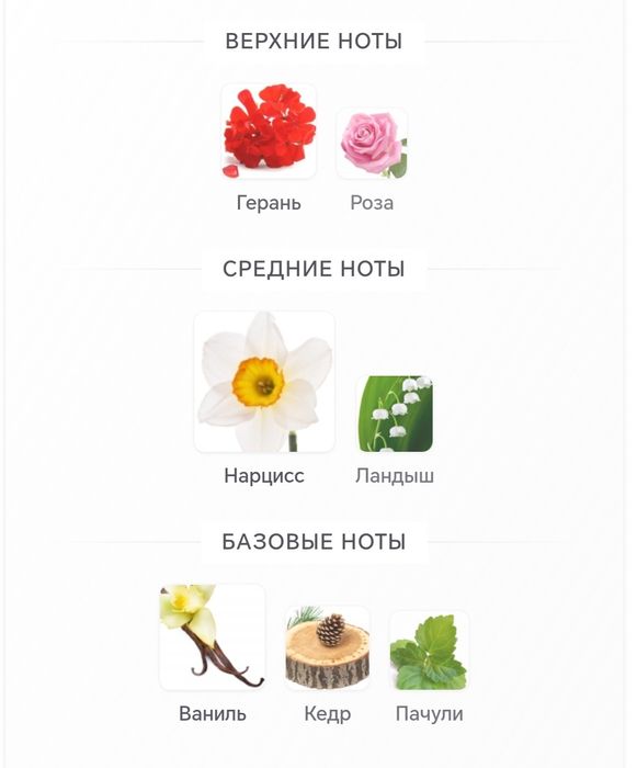 Духи Весенний нарцисс