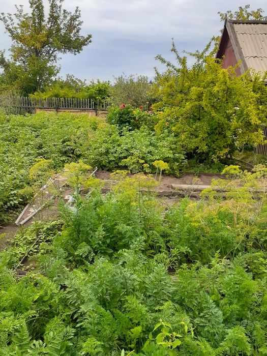 Дача в черте города