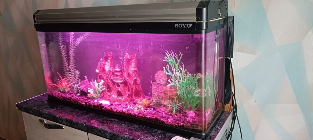 Аквариум 120 литров