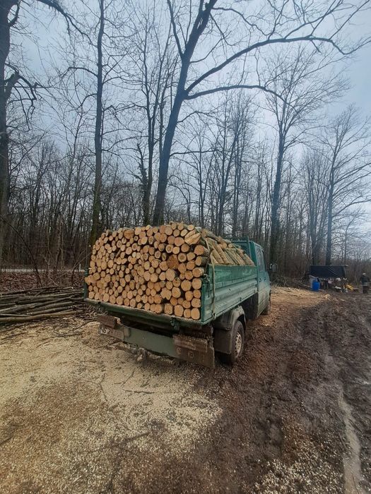 Lemne de foc esență tare stejar frasin fag carpen crăpate dorita clientului mai multe detalii la tel 0765162792