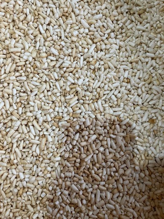 Tayor mini biznes pushka aparat