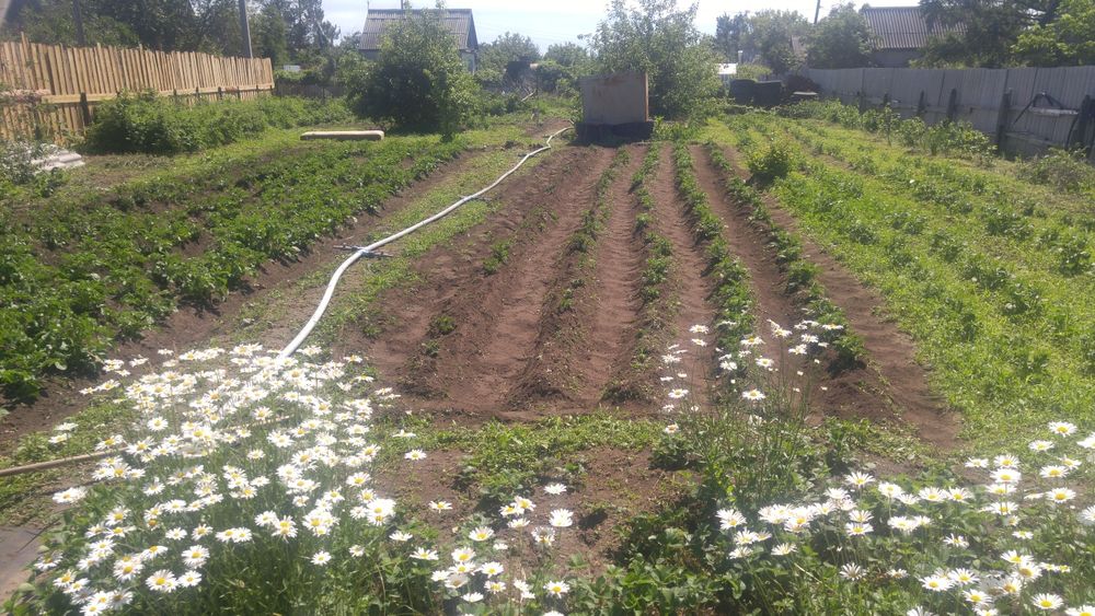 Продам дачу в СО Чапаева