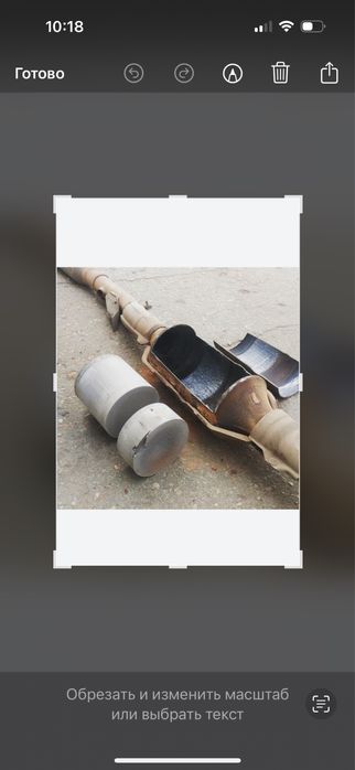 Приму Катализаторы.