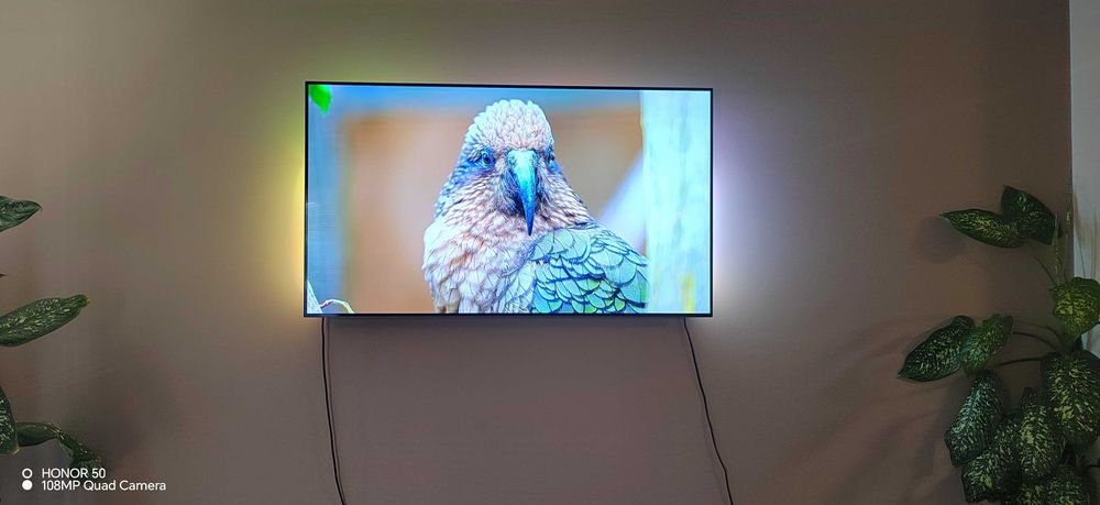 Philips 55 Oled 4K
