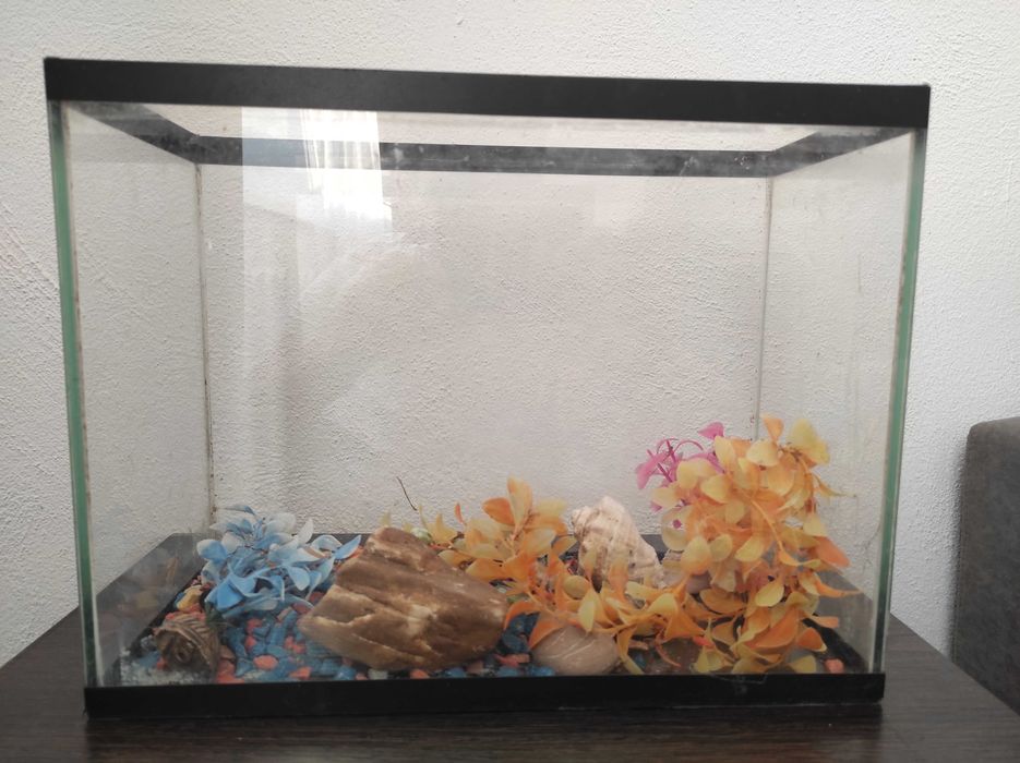 Аквариум, 5 литров