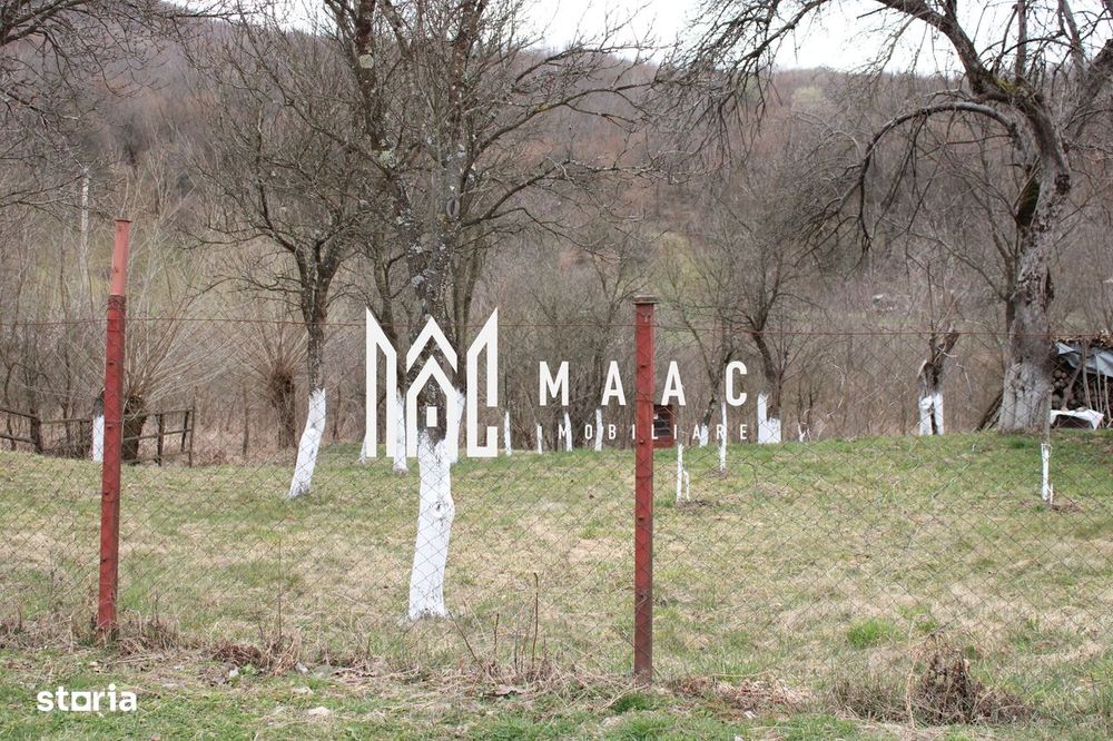 Pământ I Fereastră către Eternitate în  Transilvania