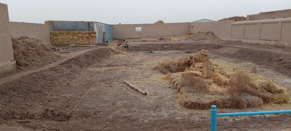 Нотурар  йер урни сотилади