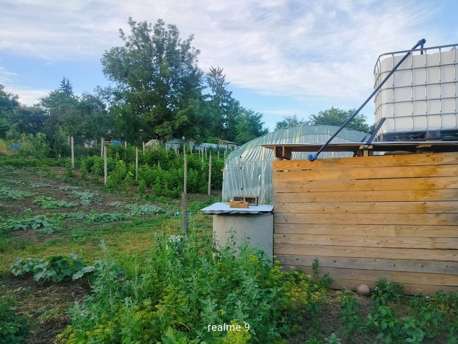 Teren intravilan în loc. Buznea