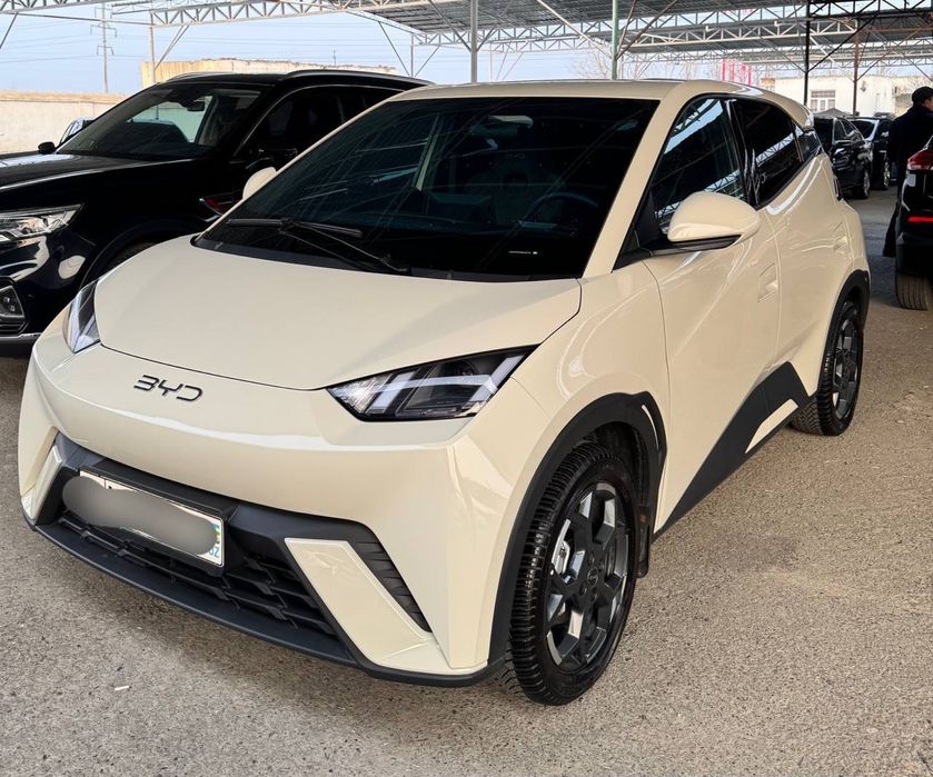 BYD Seagul 2025 Restayling