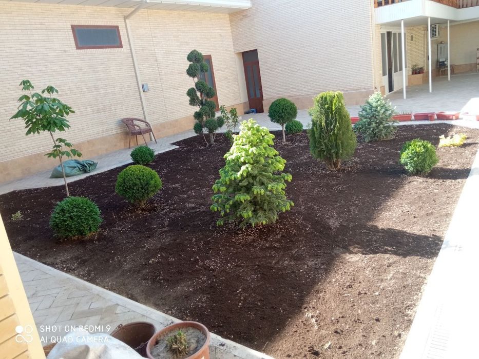 Gazon ekish,gullar ekish,bog' tomorqa ishlari