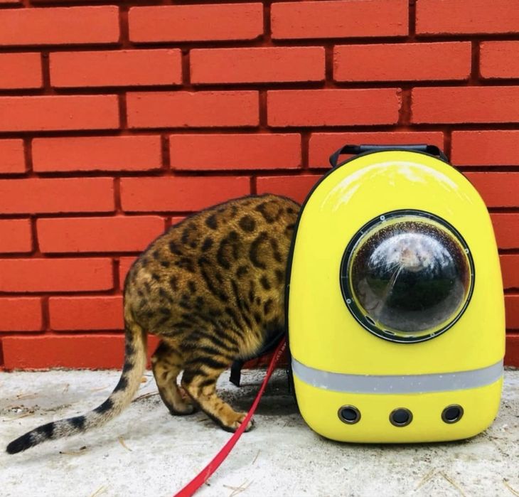 Рюкзак-переноска для животных