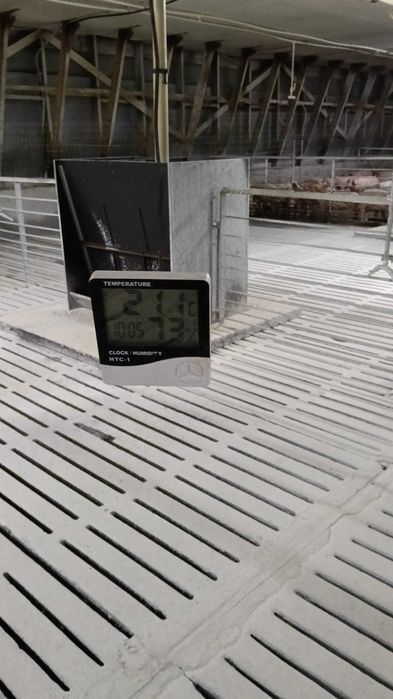 SE VINDE Ferma de ingrasare porci + actiuni cooperativa reproductie