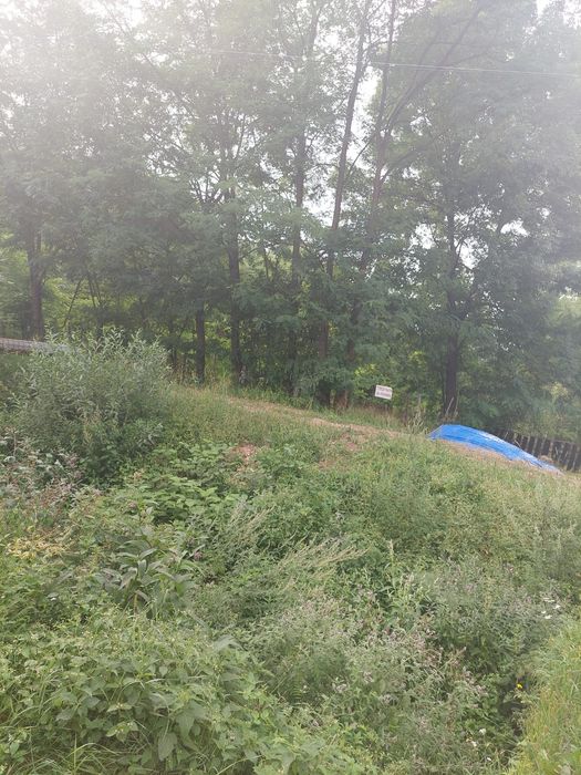 Teren  1015 mp ,sat  Savinesti, jud.Neamt,  Valea  Bistriței