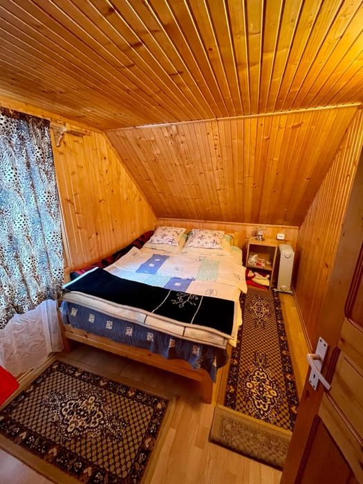 Cabana in Muntele Baișorii